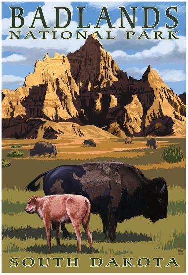 Badlands National Park, South Dakota - Bison Scene