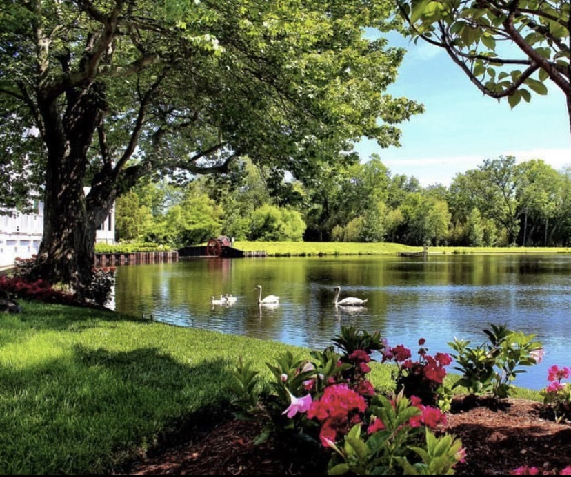 The Wedding Website of ashley duell and vincent corbi