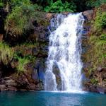 Waimea Valley