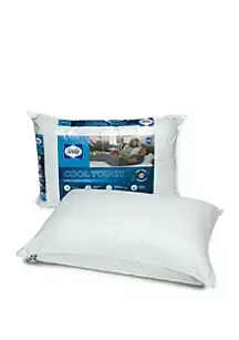 Sealy®Cool Touch Pillow