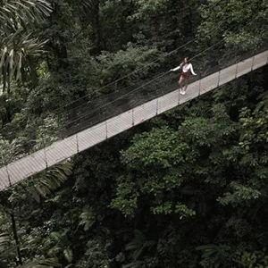 Arenal Hanging Bridges