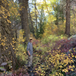 Leaf Peeping on Kebler and Ohio Pass