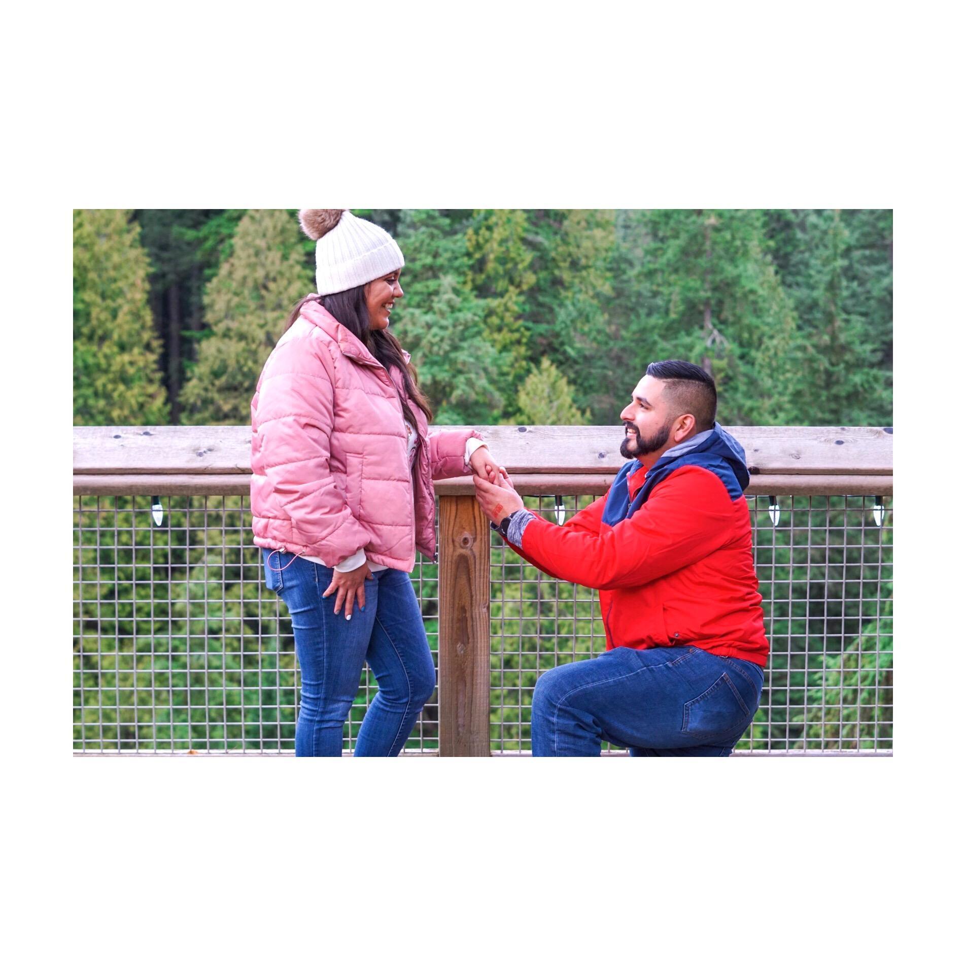 The Proposal