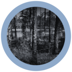 Conecuh National Forest