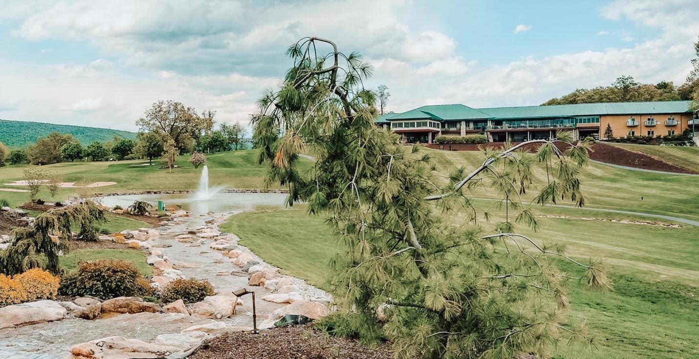 The Wedding Website of Alyssa Billie and Tyler Willing