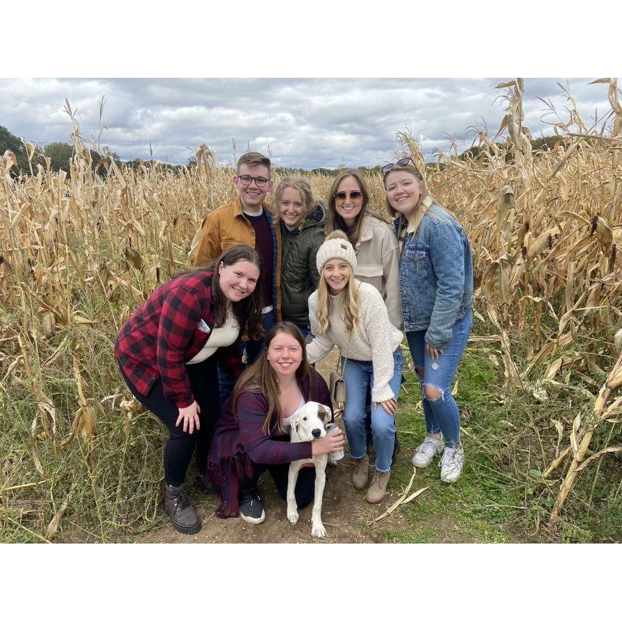 Corn Maze, October 2022