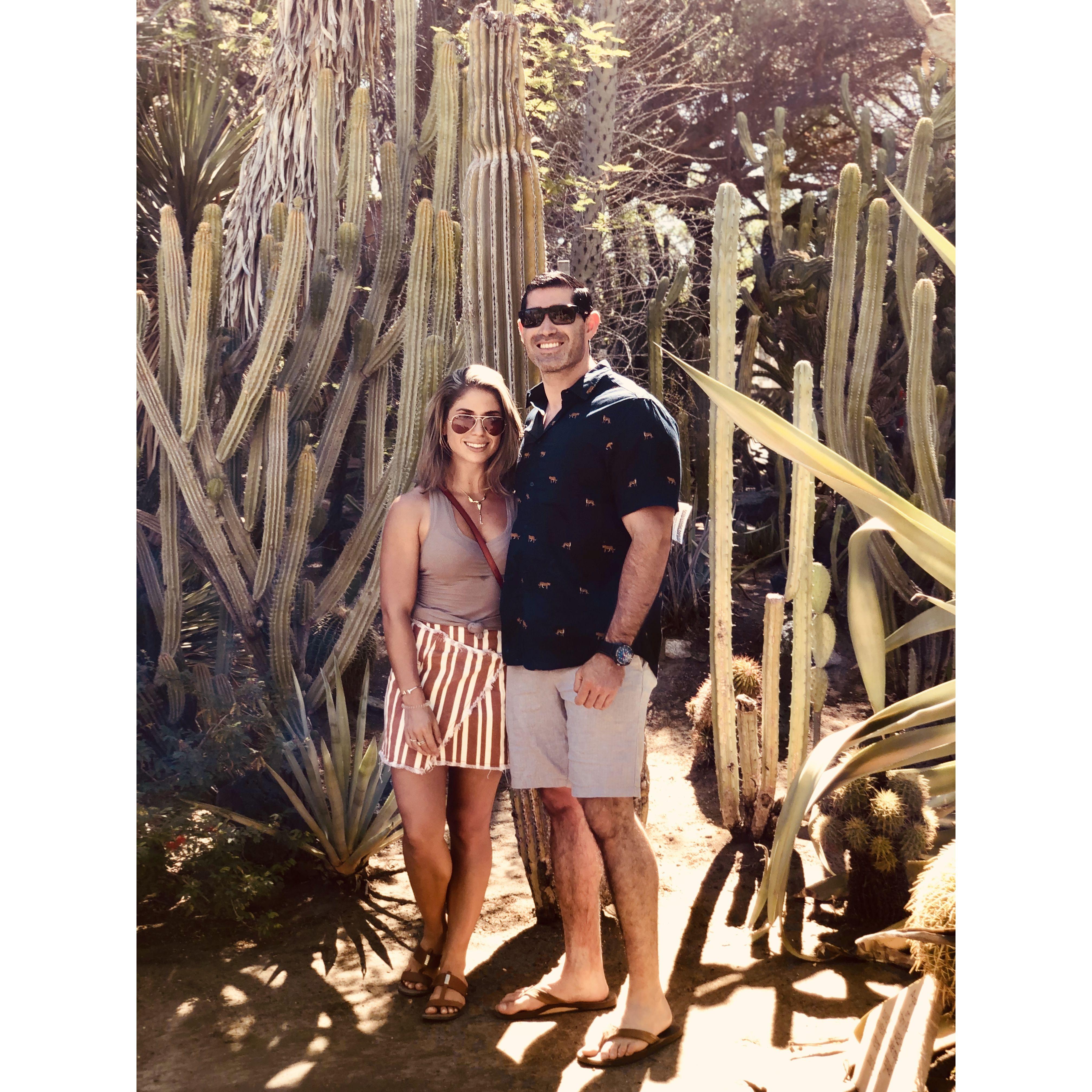Moorten Botanical Garden in Palm Springs