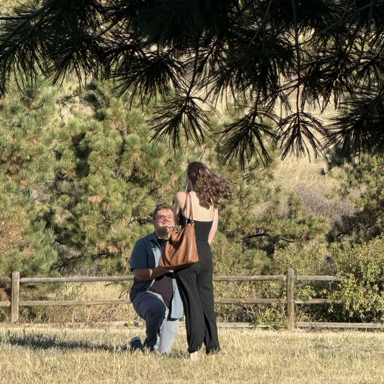 The Proposal!!!