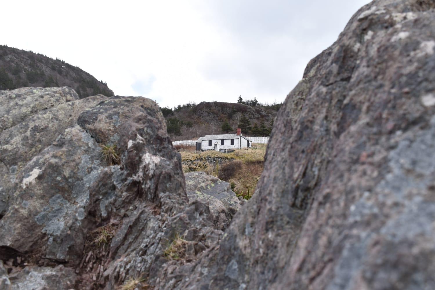 The Wedding Website of Annika Signe Elizabeth Scharwey and Matthew Thomas Reid