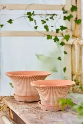 Bergs Fluted Pot + Saucer Set