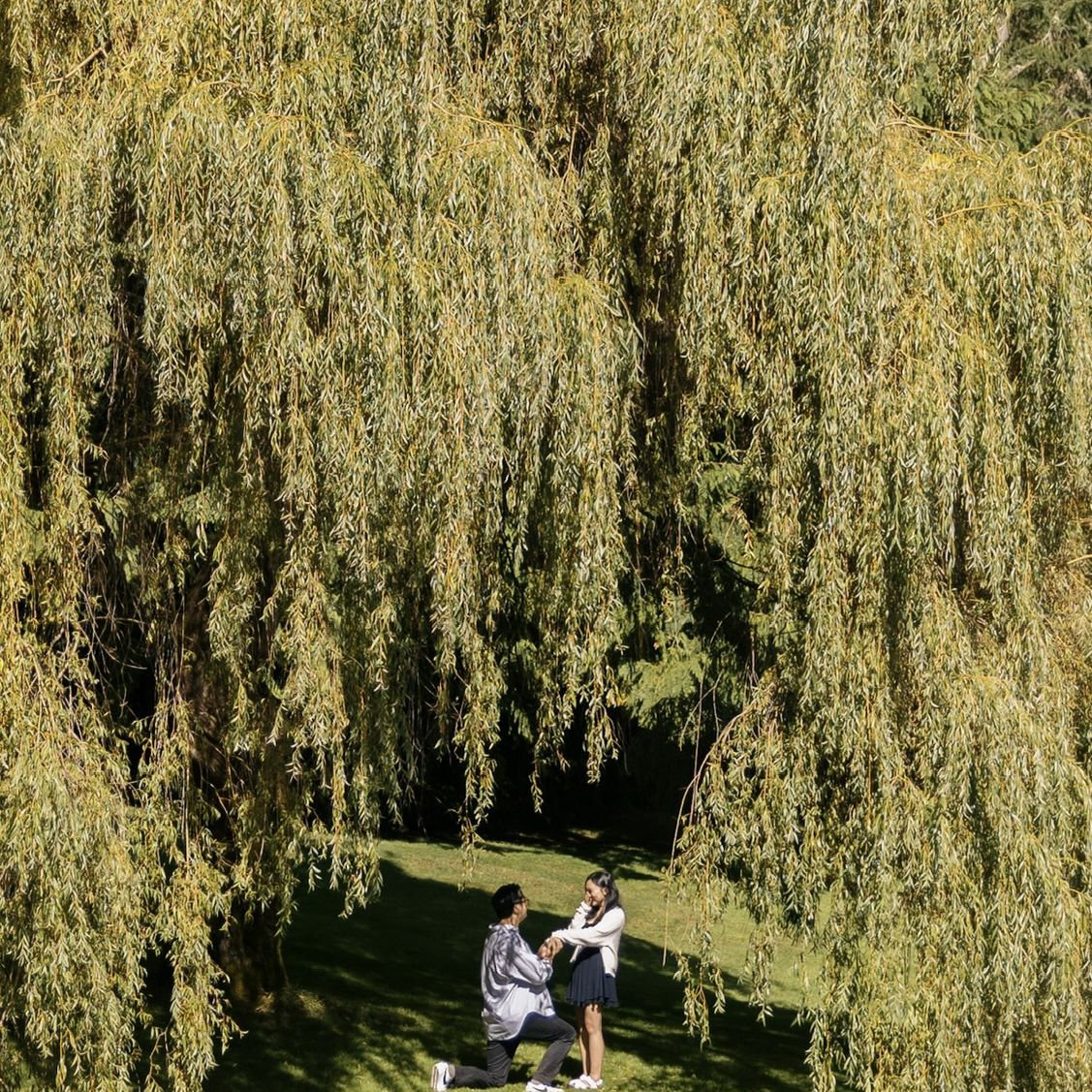 proposal !!!!!