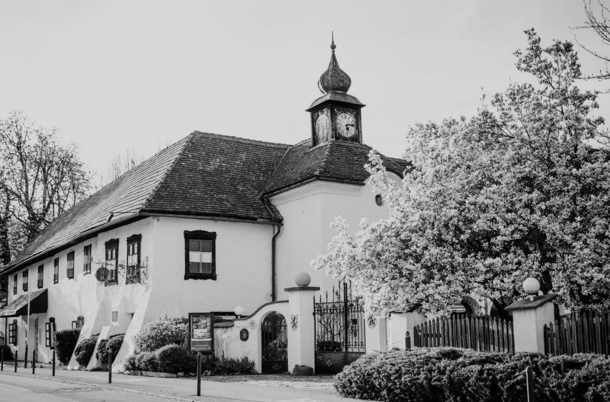The Wedding Website of Tobias Thiel and Klara Schütz