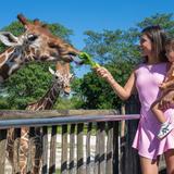 Zoo Miami