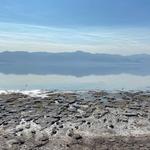 Salton Sea State Recreation Area