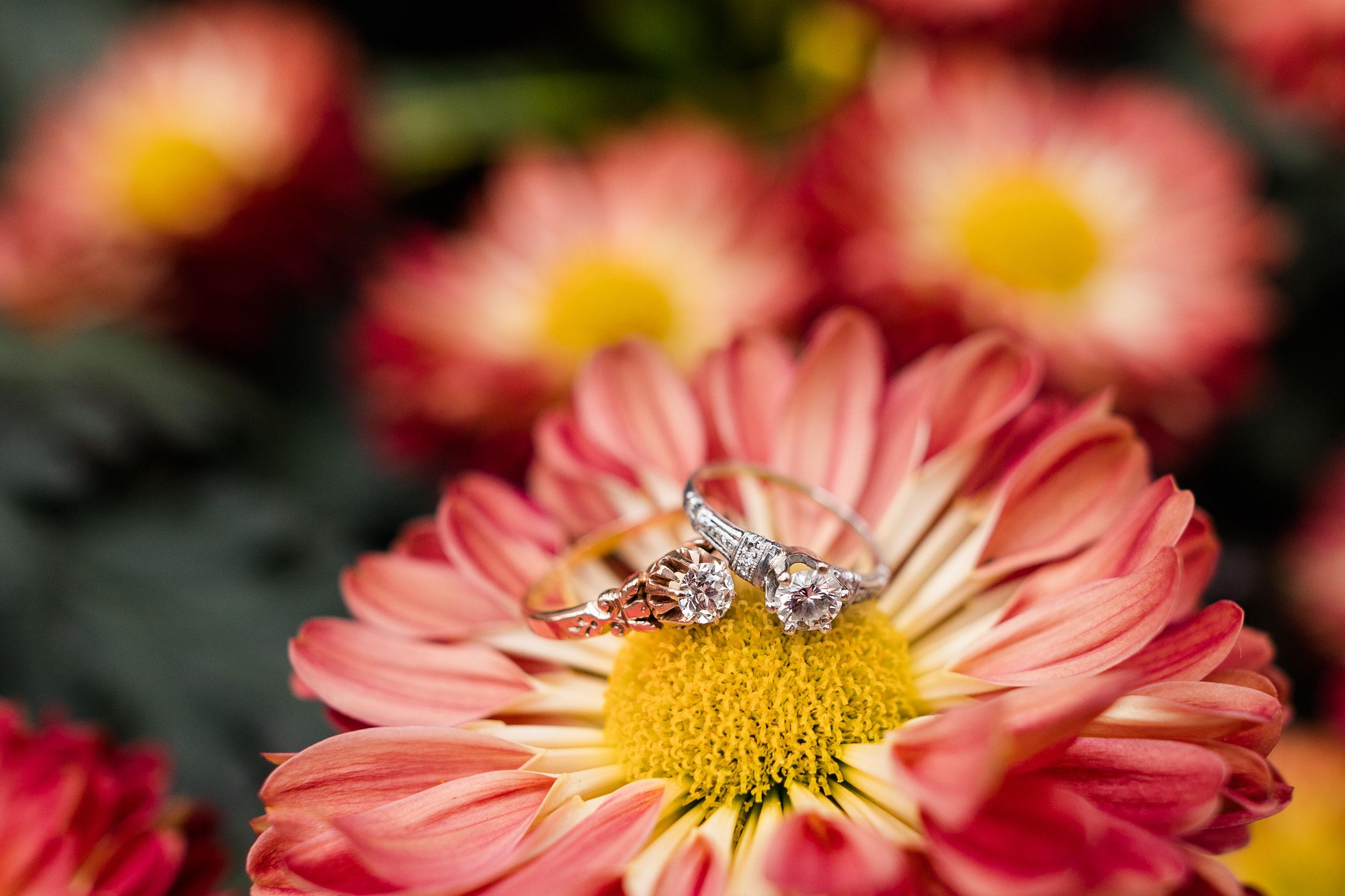 The Wedding Website of Jessica LaPorte and Jennifer Allman