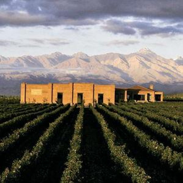 Honeymoon Fund: Argentina Wine Country!