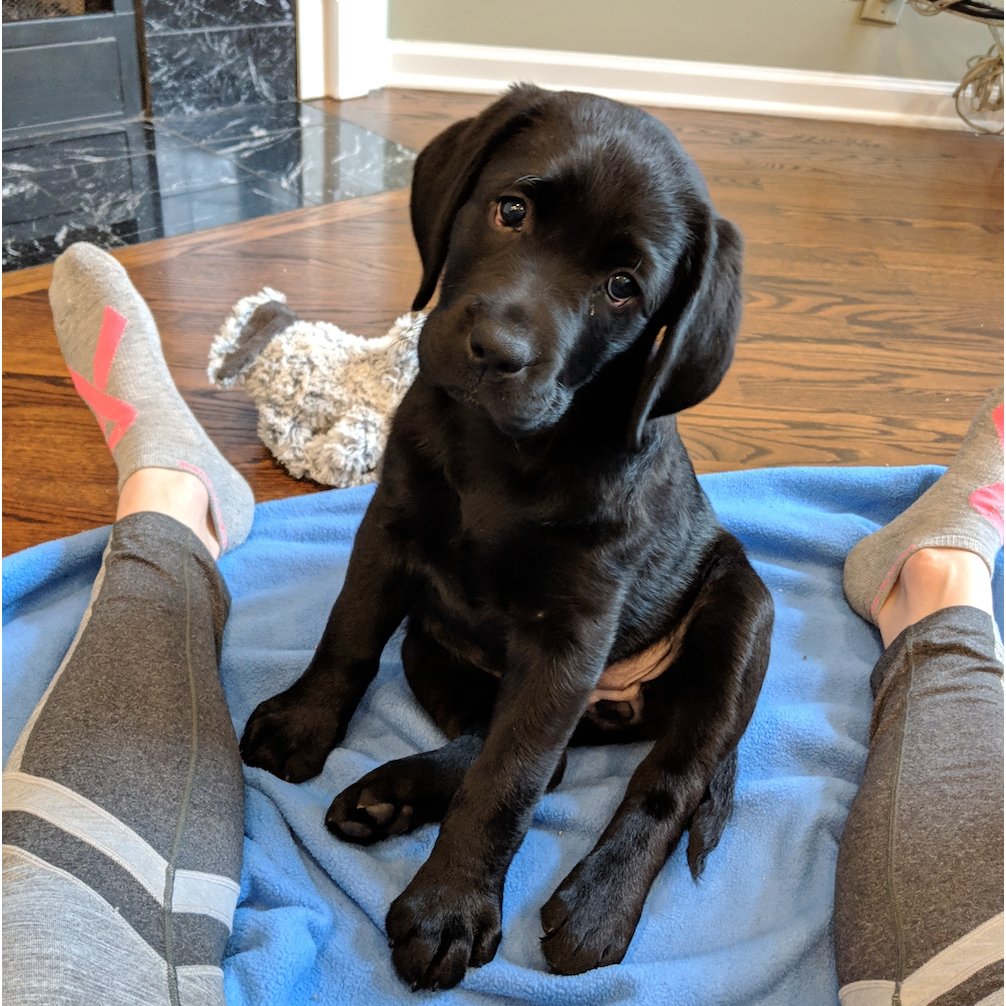 First week with Rona - Spring 2019
