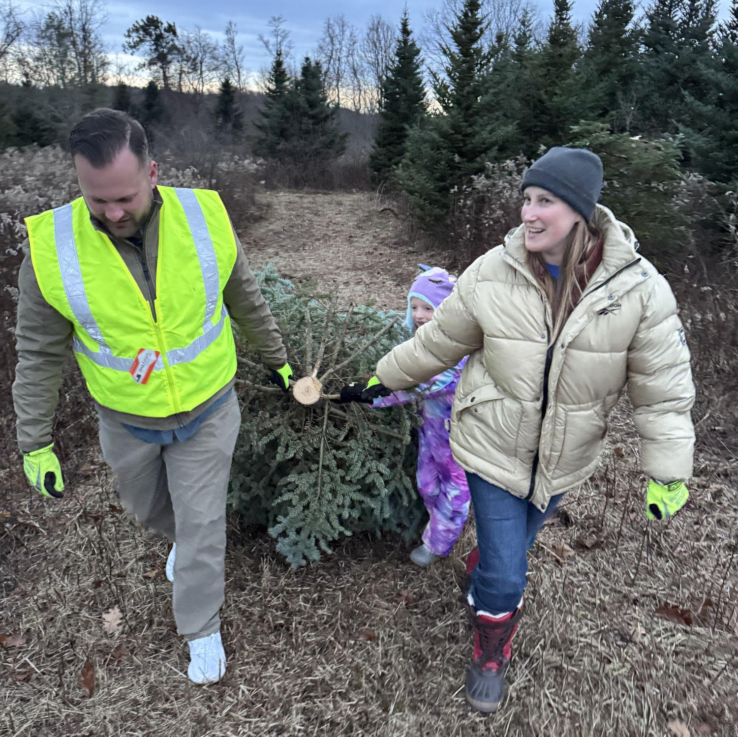 Annual Christmas Tree Hunt! Haley has come home every year to pick out a Christmas Tree for her parents' house. Tyson has joined the last two years and this year Quinnie was able to join!