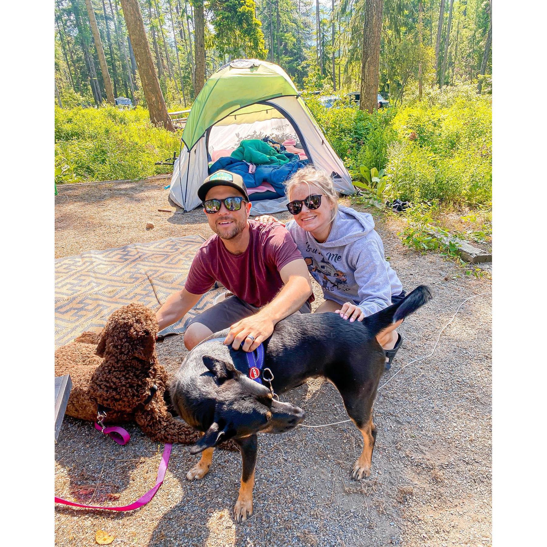 Our fur children, Cooper and Tuck