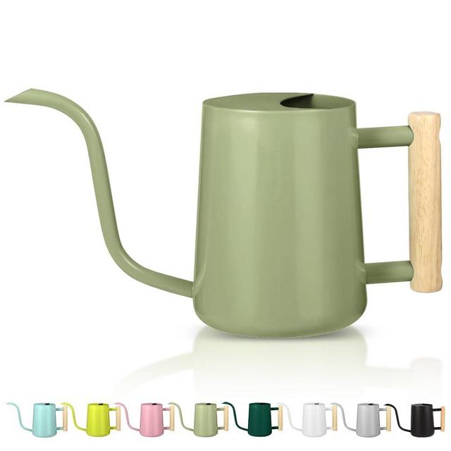 Watering Can Indoor Plants, 35oz Small Watering Can Indoor Stainless Steel Metal Watering Can Modern Decorative Watering Pot with Long Spout for Indoor House Plant Bonsai Garden Flowers (Sage Green)