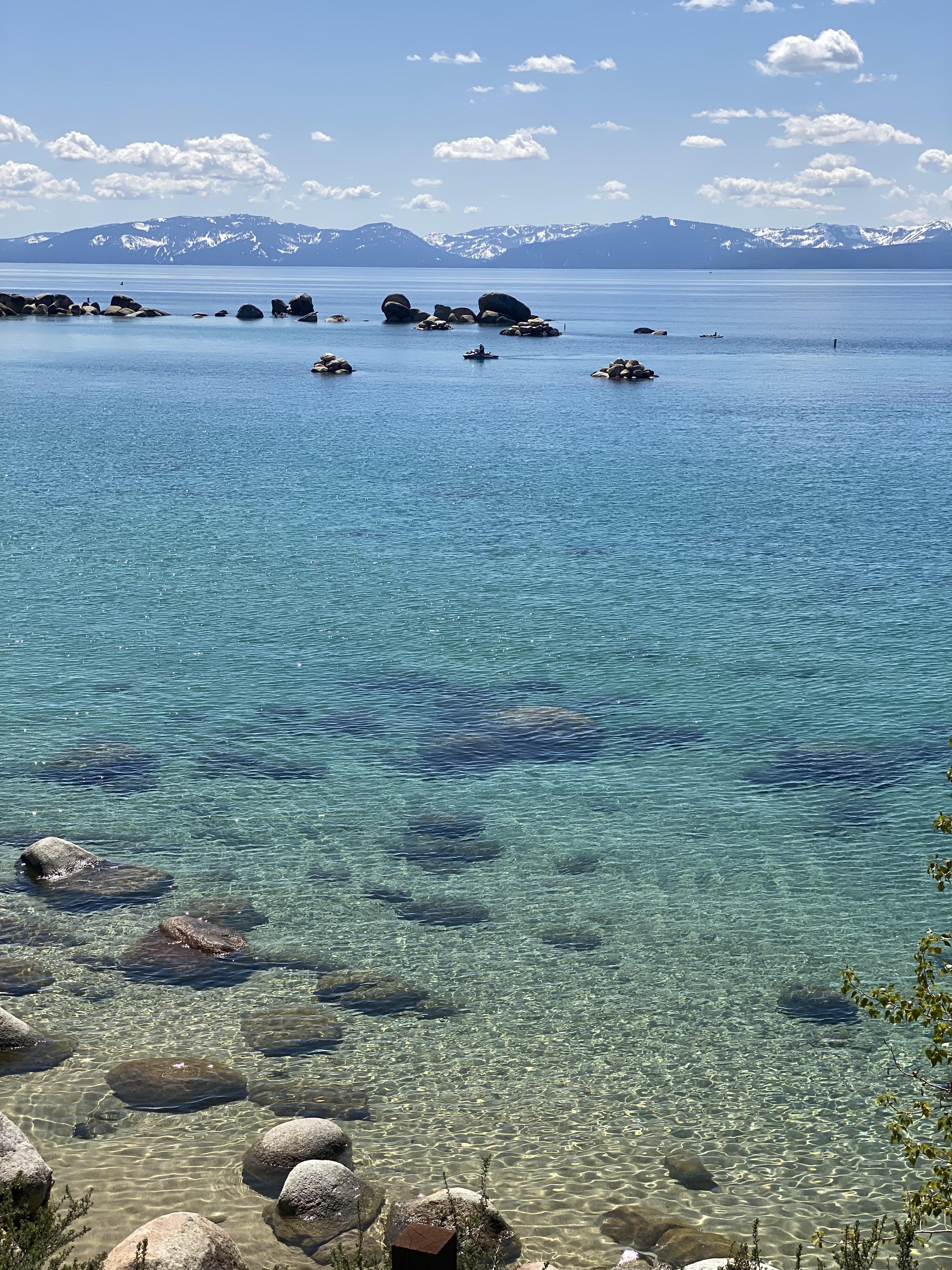 The Wedding Website of Erica Boutacoff and Tony Brodie