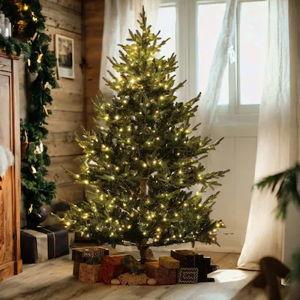 Family Christmas Tree