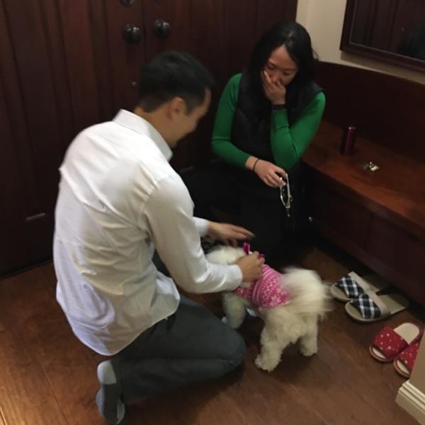 The Proposal!