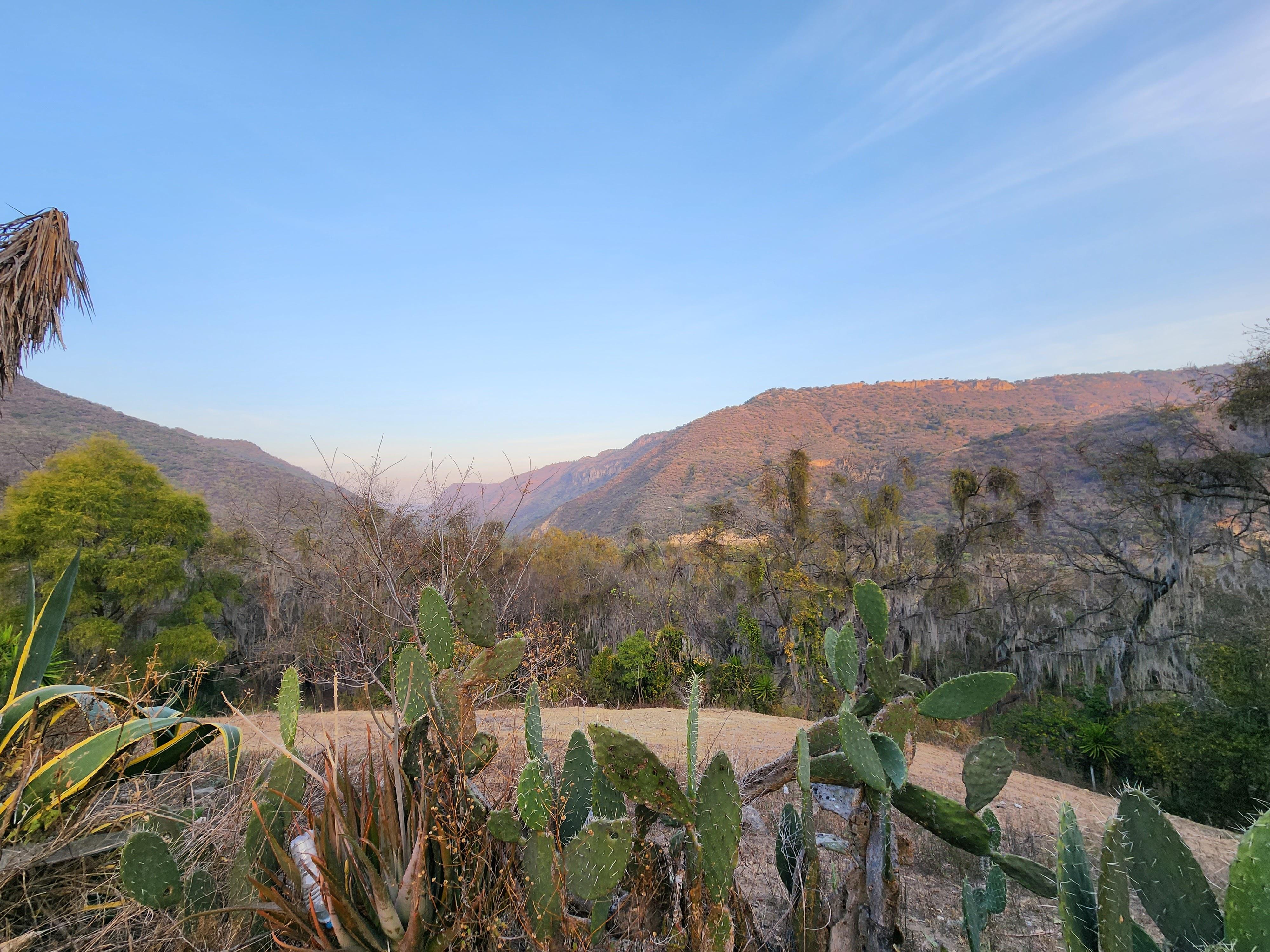 The Wedding Website of Allison Solis and Chuck Bailey