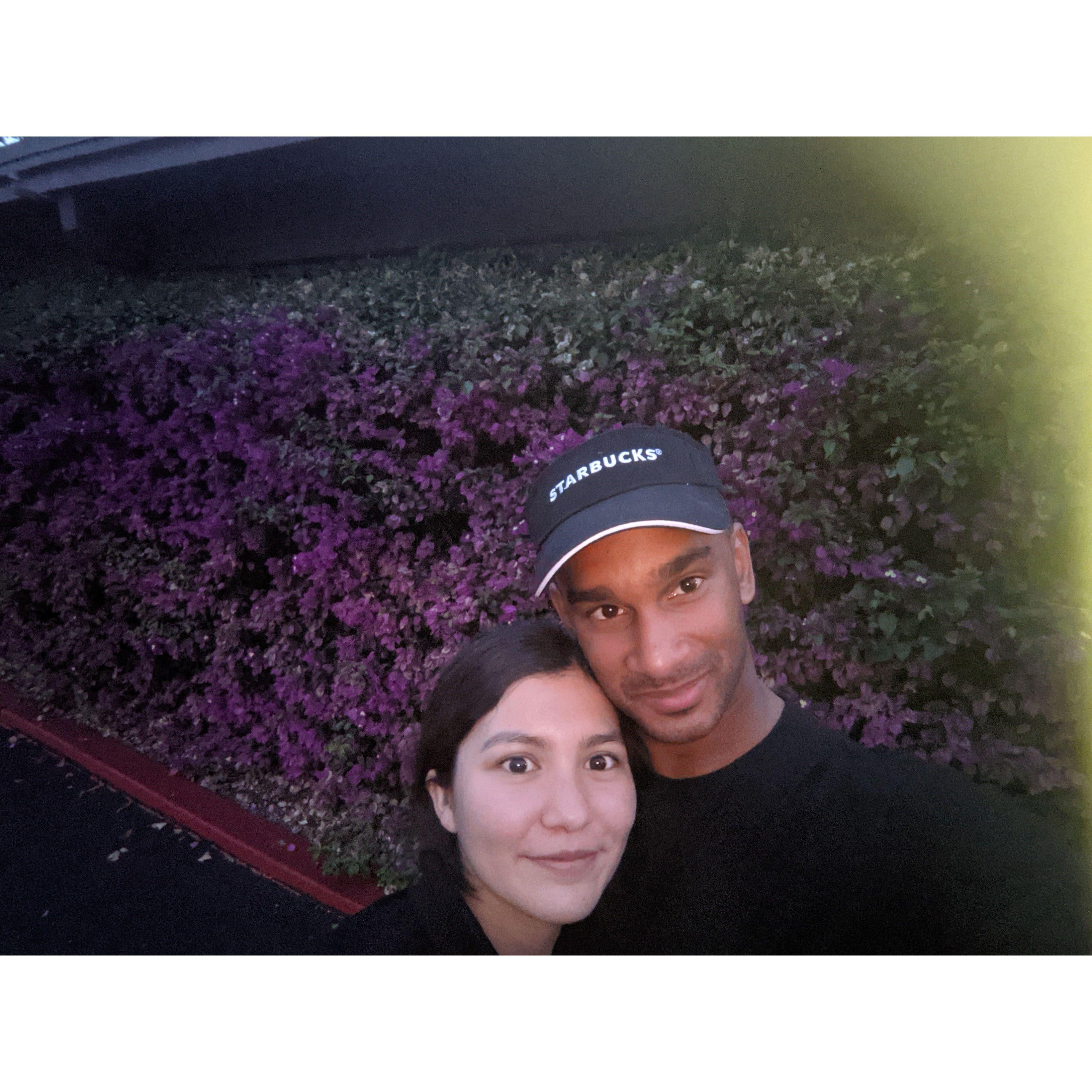 A normal day photo with a beautiful background.