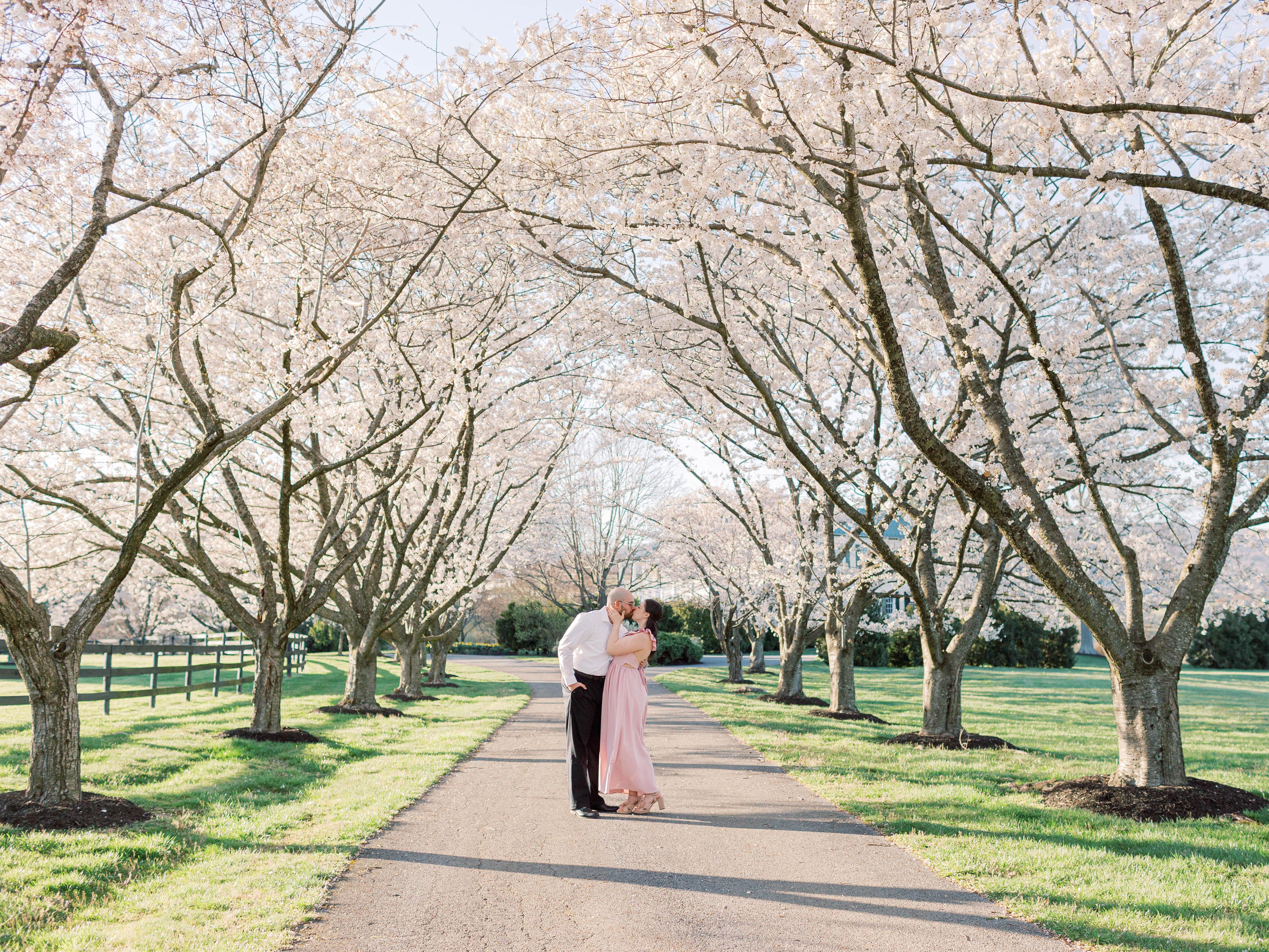 The Wedding Website of Catherine Ramundo and Blake Blanas
