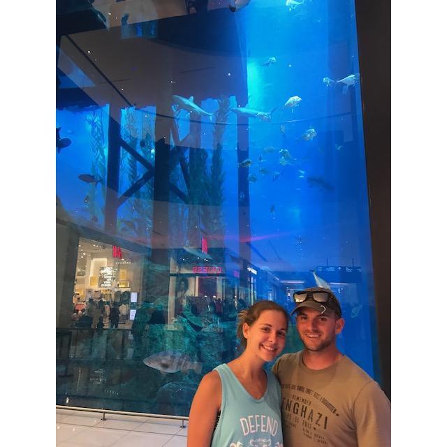 A massive aquarium in the "Dubai Mall" at the end of our Thailand trip. April '18