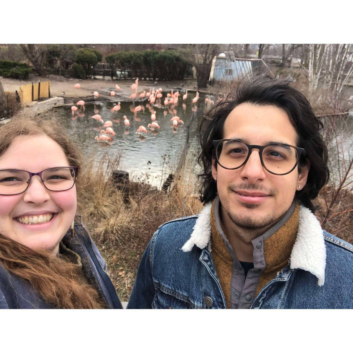 Chicago zoo