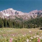 Rocky Mountain National Park