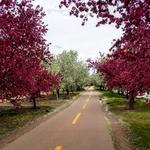 Mary Carter Greenway Trail