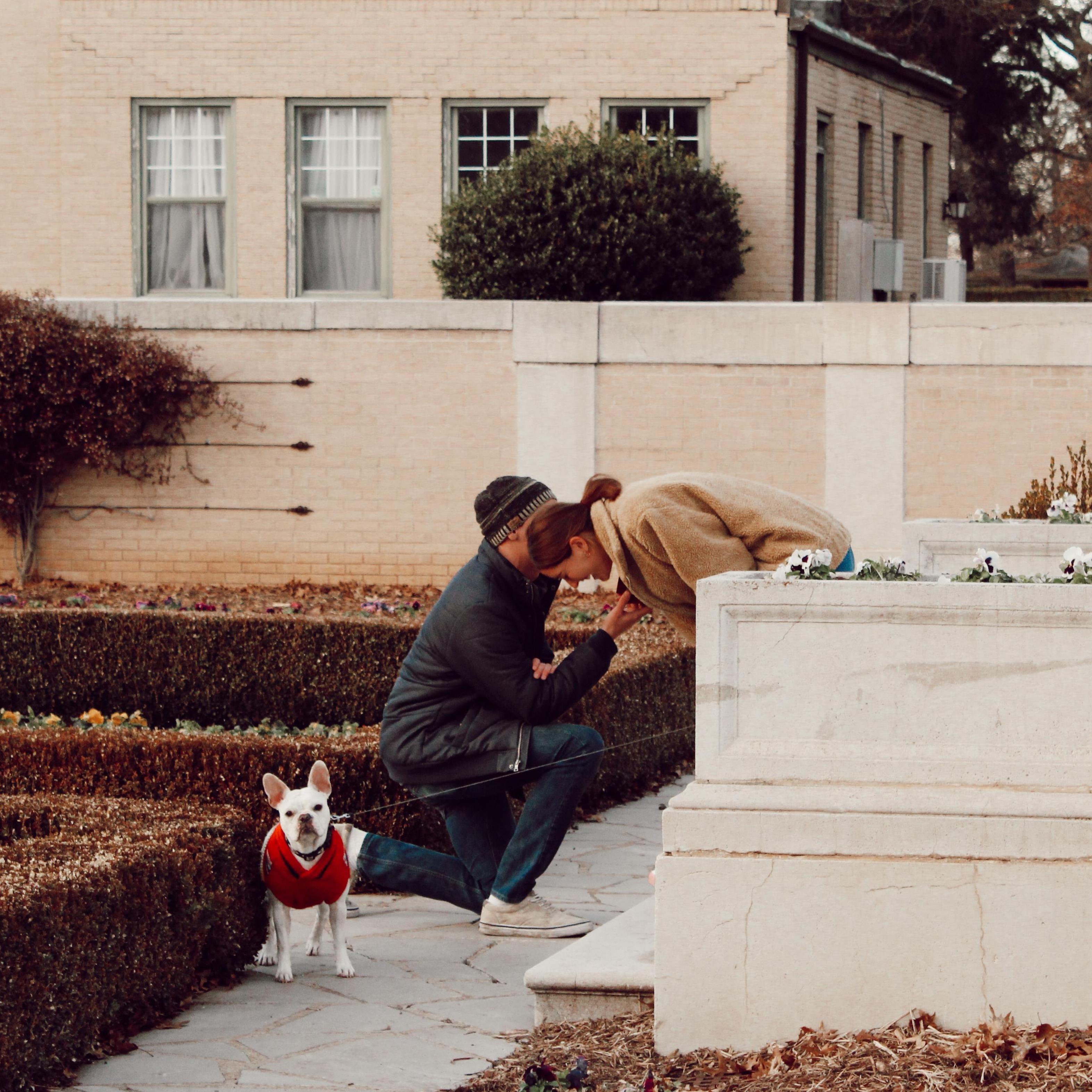 December 23rd 2018 - Saying "YES!"