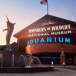 Wonders Of Wildlife National Museum & Aquarium