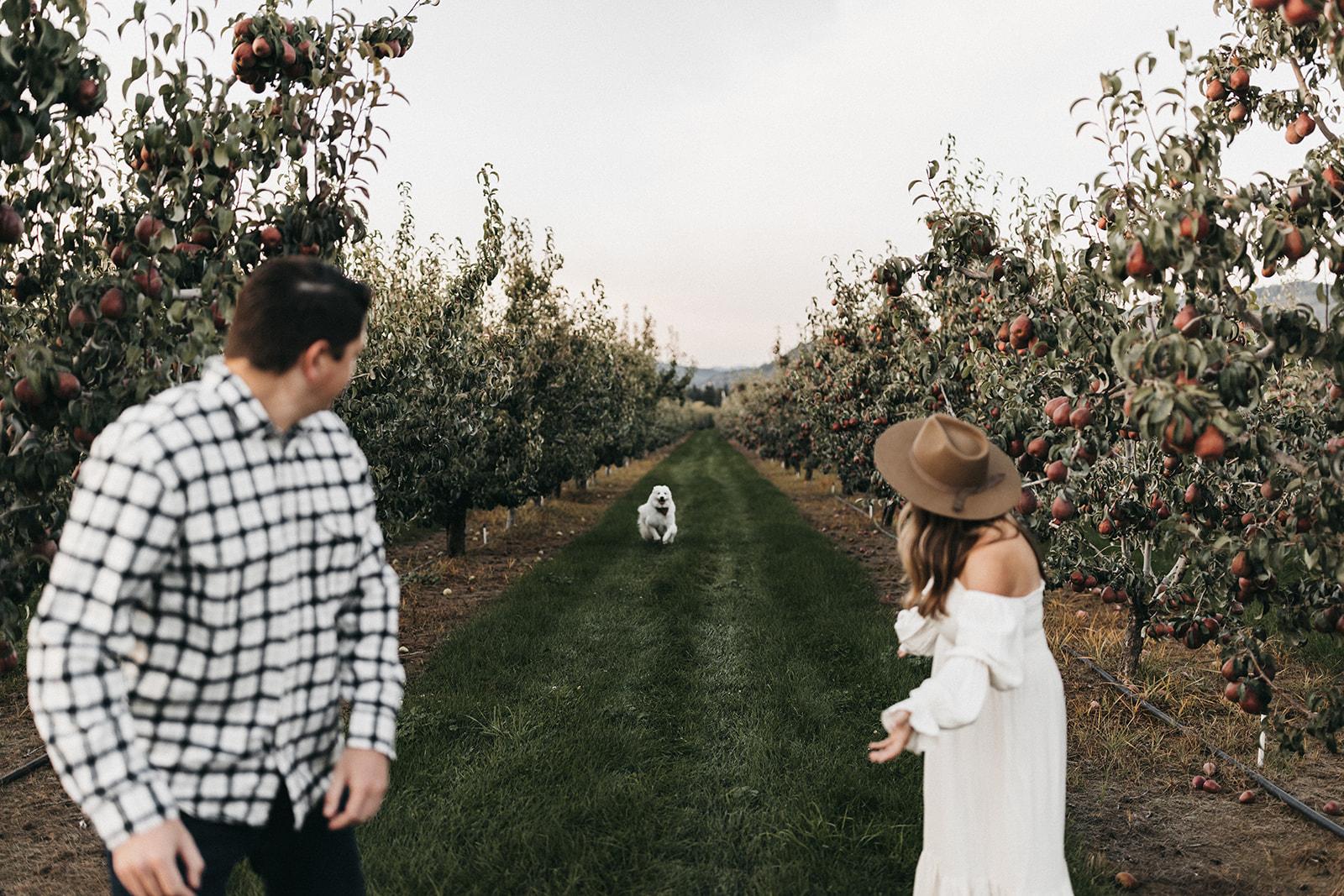 The Wedding Website of Taylor Gambee and Josh Ertmer