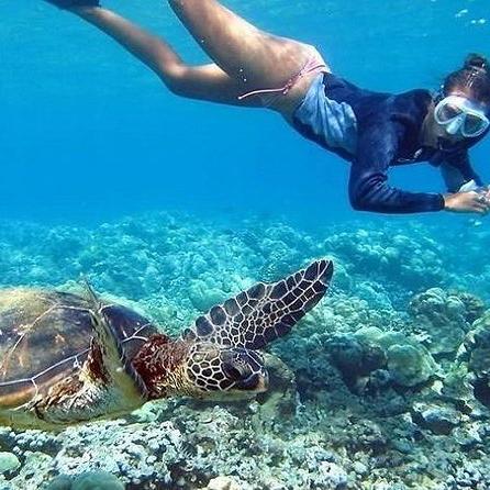 Sea Turtle Snorkeling