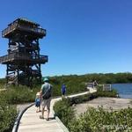 Robinson Preserve