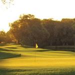Golf | Cougar Point