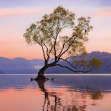 Wanaka