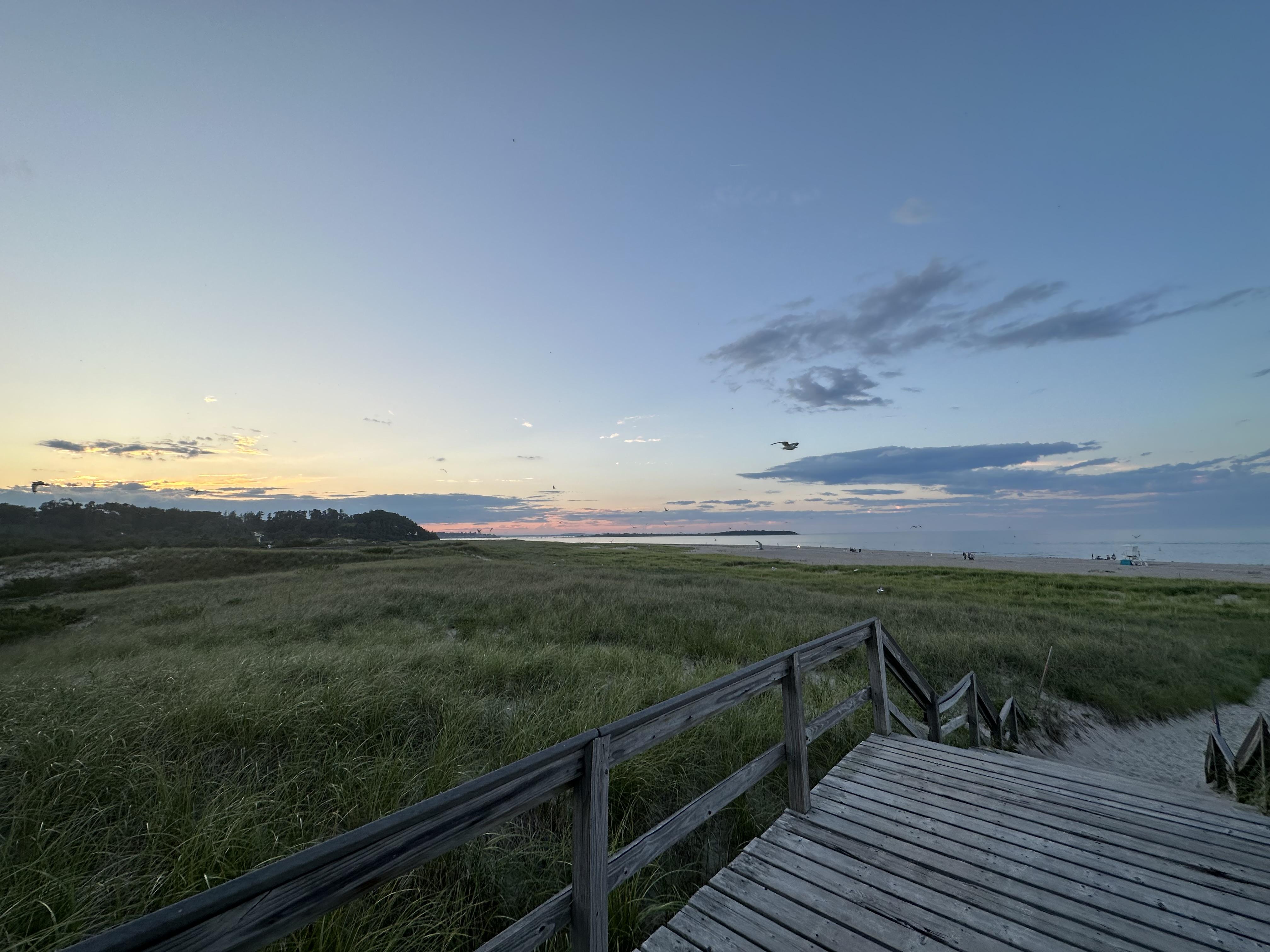 The Wedding Website of Zoe Campbell and Seamus Cuddy