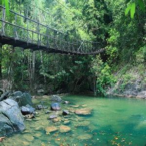 Jungle Trek & Waterfall Adventure