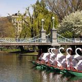 Public Garden