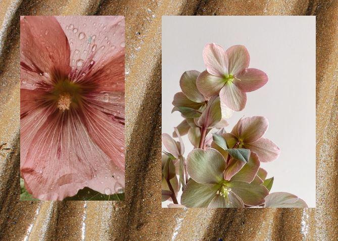 The Wedding Website of Jenny Nguyen and Davian Bueno