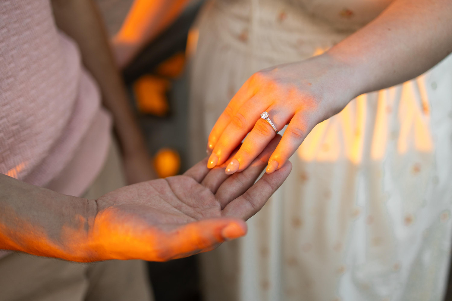 The Wedding Website of Dominique Theodore and Thad Nosar