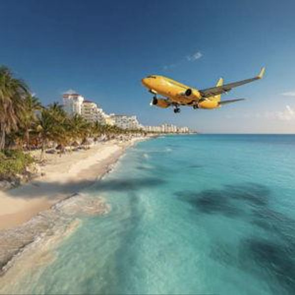Regional Flight Mini Contribution