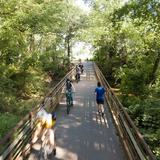 Swamp Rabbit Trail