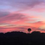 Guana State Park Kayaking and Walking Trails