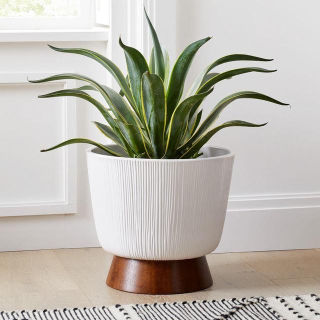 Harley Floor Planter, Medium